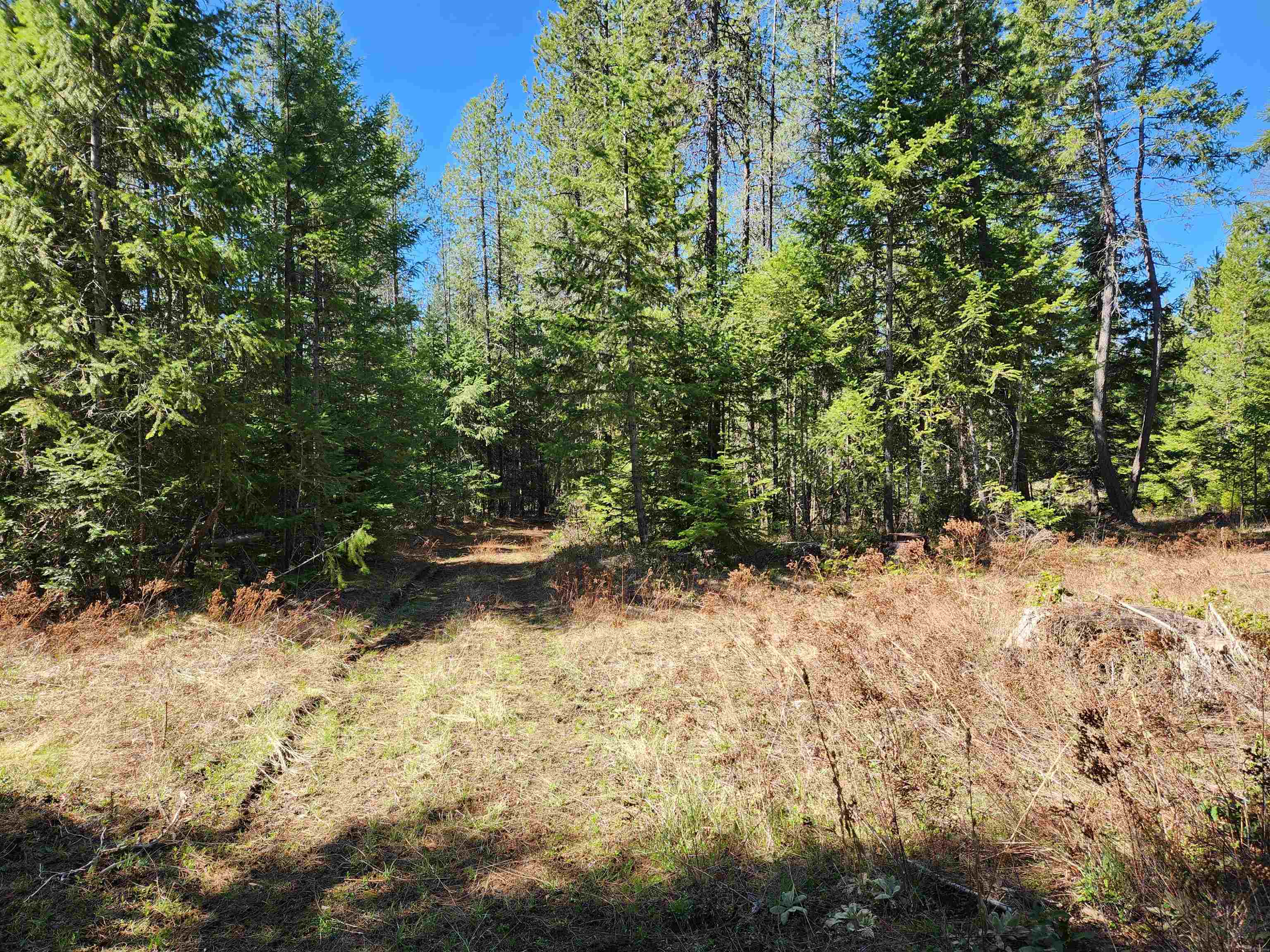 4849 Getna Way - Photo 43