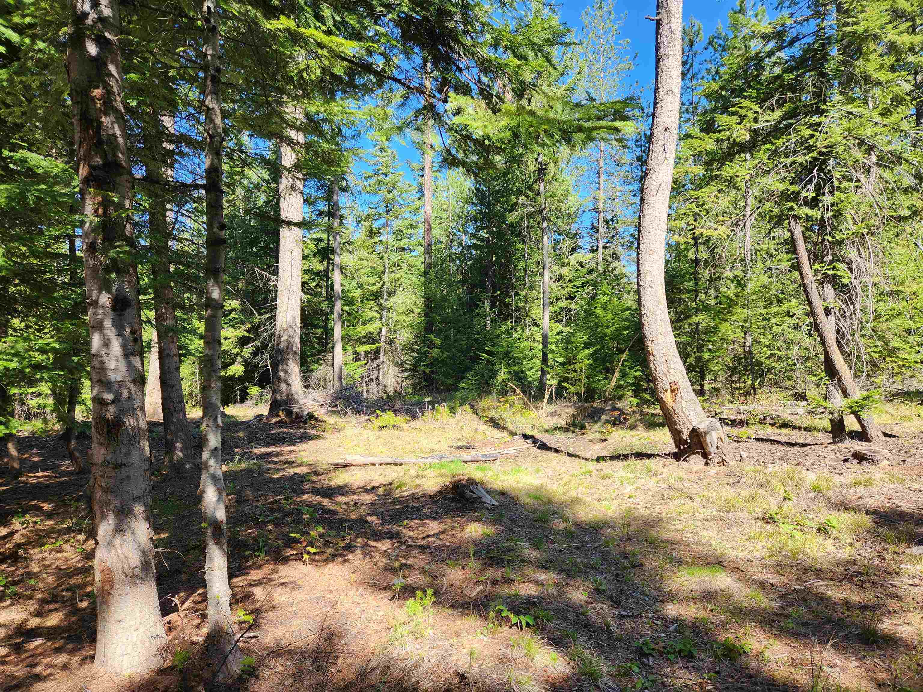 4849 Getna Way - Photo 44