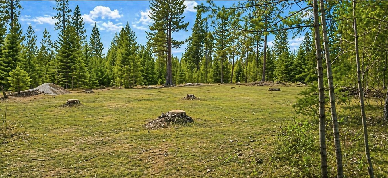 6833 Drum Rd - Photo 2