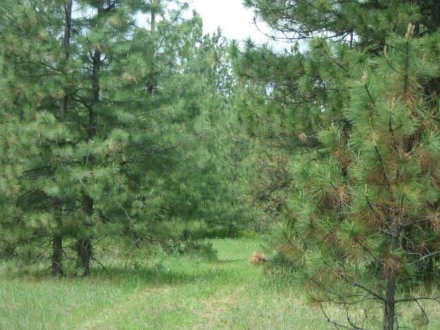 X11X Hoag Rd - Photo 11