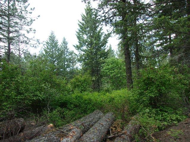 X11X Hoag Rd - Photo 14