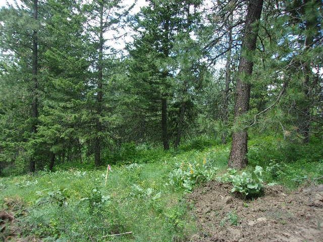 X11X Hoag Rd - Photo 3