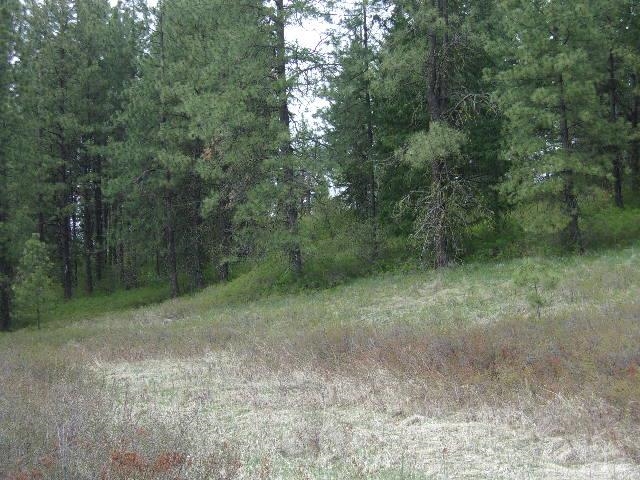 X11X Hoag Rd - Photo 22