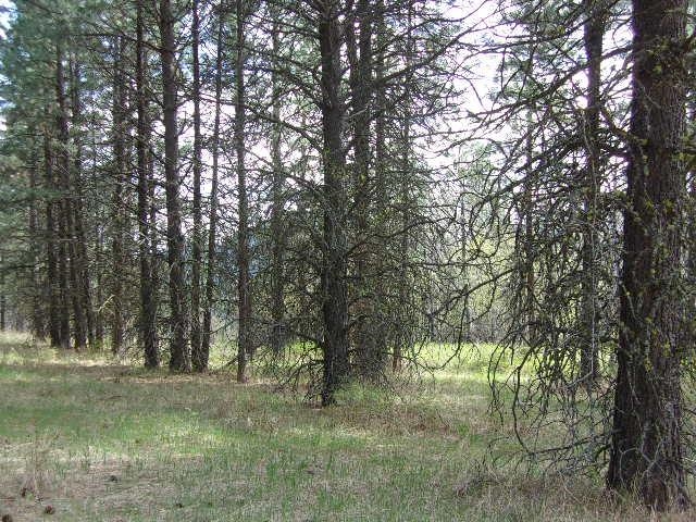 X11X Hoag Rd - Photo 23