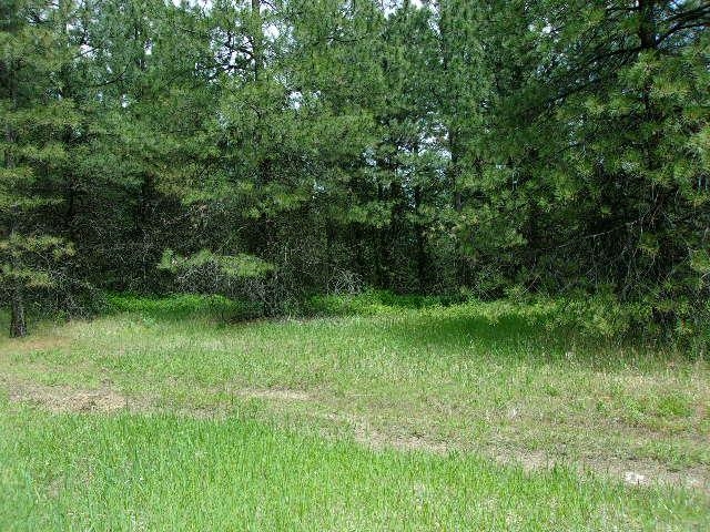 X11X Hoag Rd - Photo 6