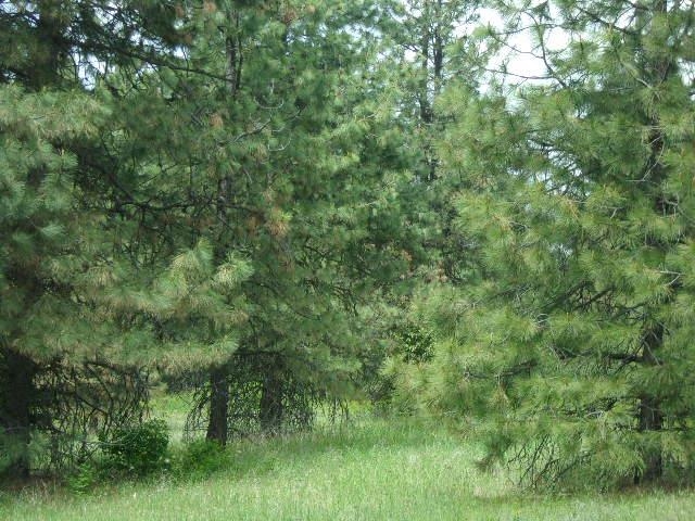 X11X Hoag Rd - Photo 9