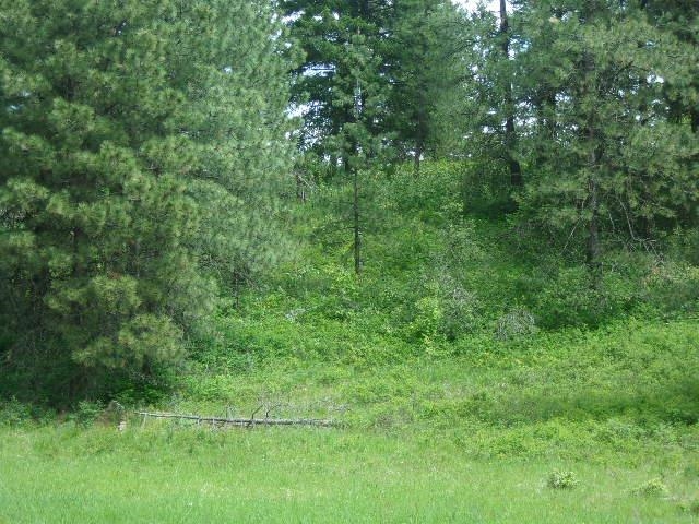 X12X Hoag Rd - Photo 12