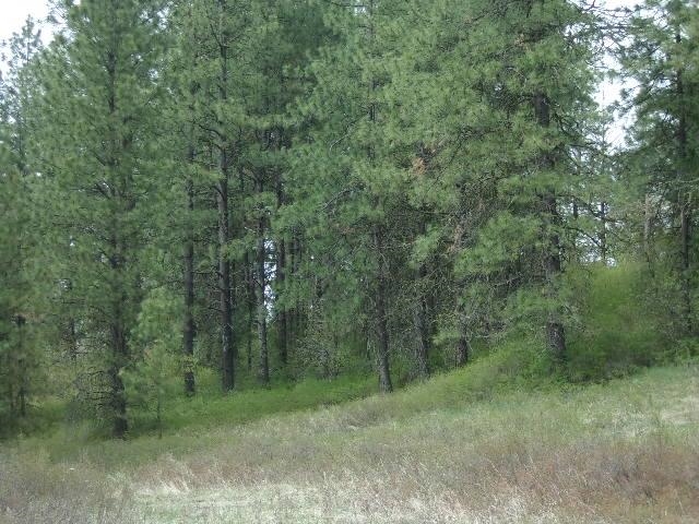 X12X Hoag Rd - Photo 15