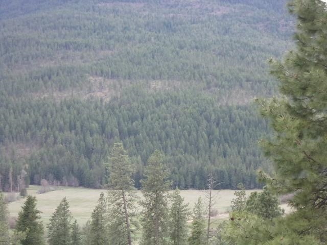 X12X Hoag Rd - Photo 19