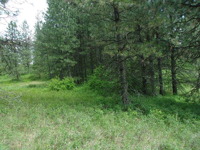 X12X Hoag Rd - Photo 4