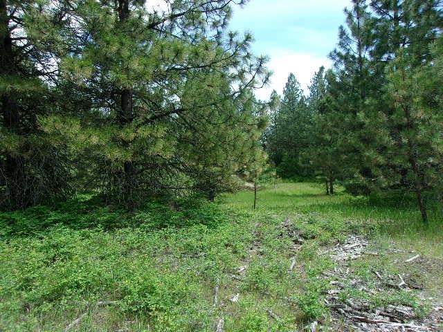 X12X Hoag Rd - Photo 5