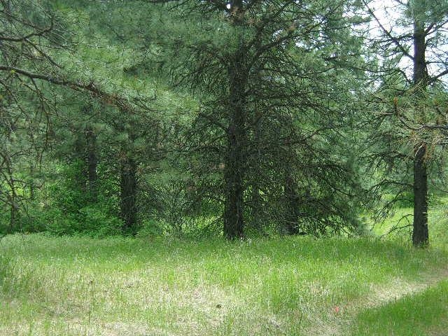 X12X Hoag Rd - Photo 9