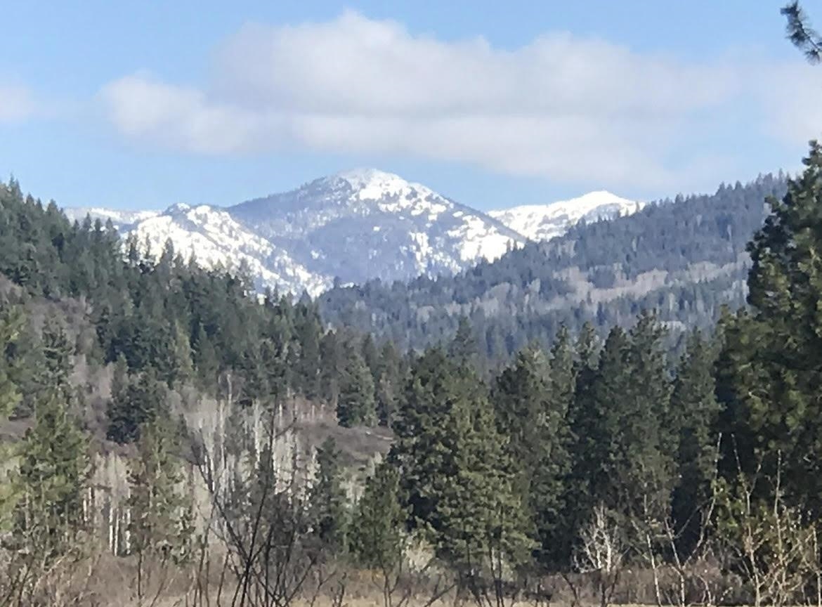 TBD S OF HWY W 200 Hwy - Photo 11