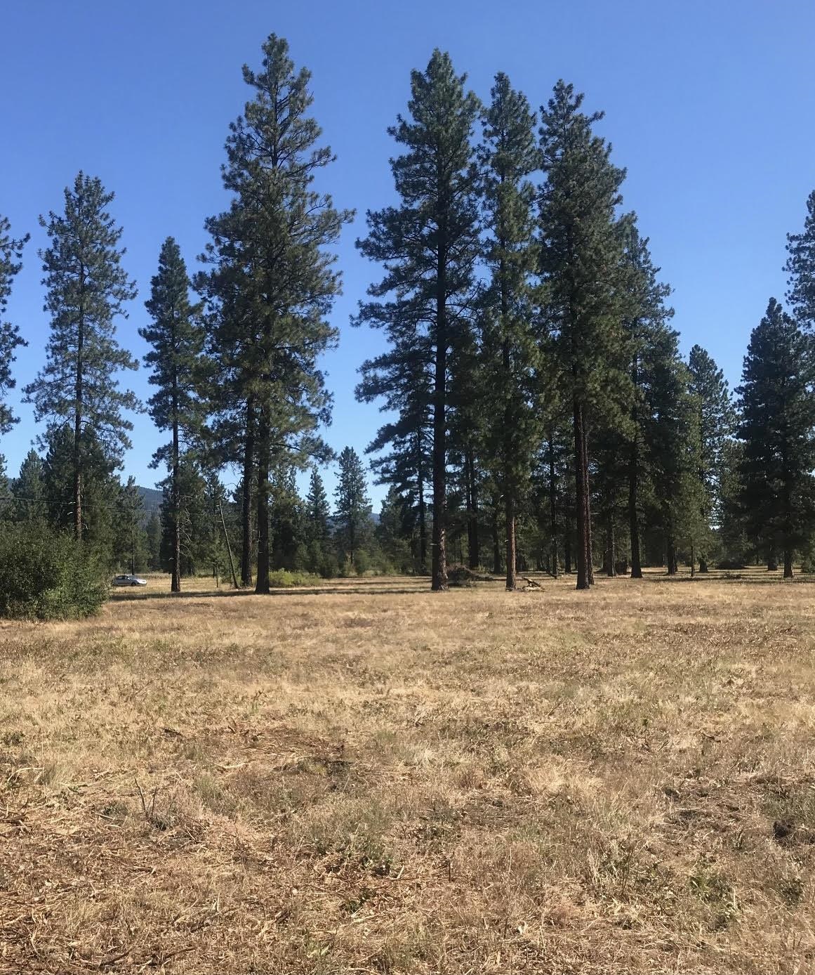 TBD S OF HWY W 200 Hwy - Photo 13