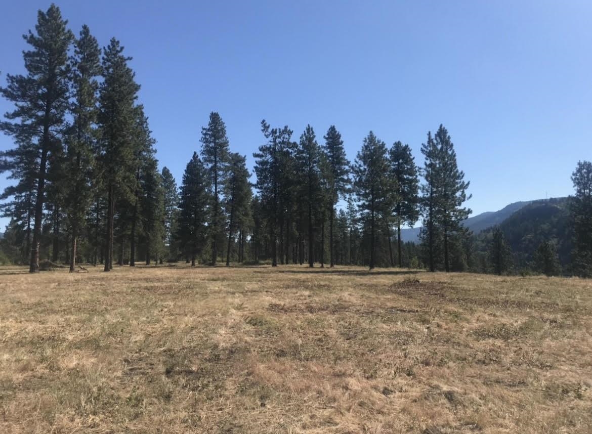 TBD S OF HWY W 200 Hwy - Photo 14