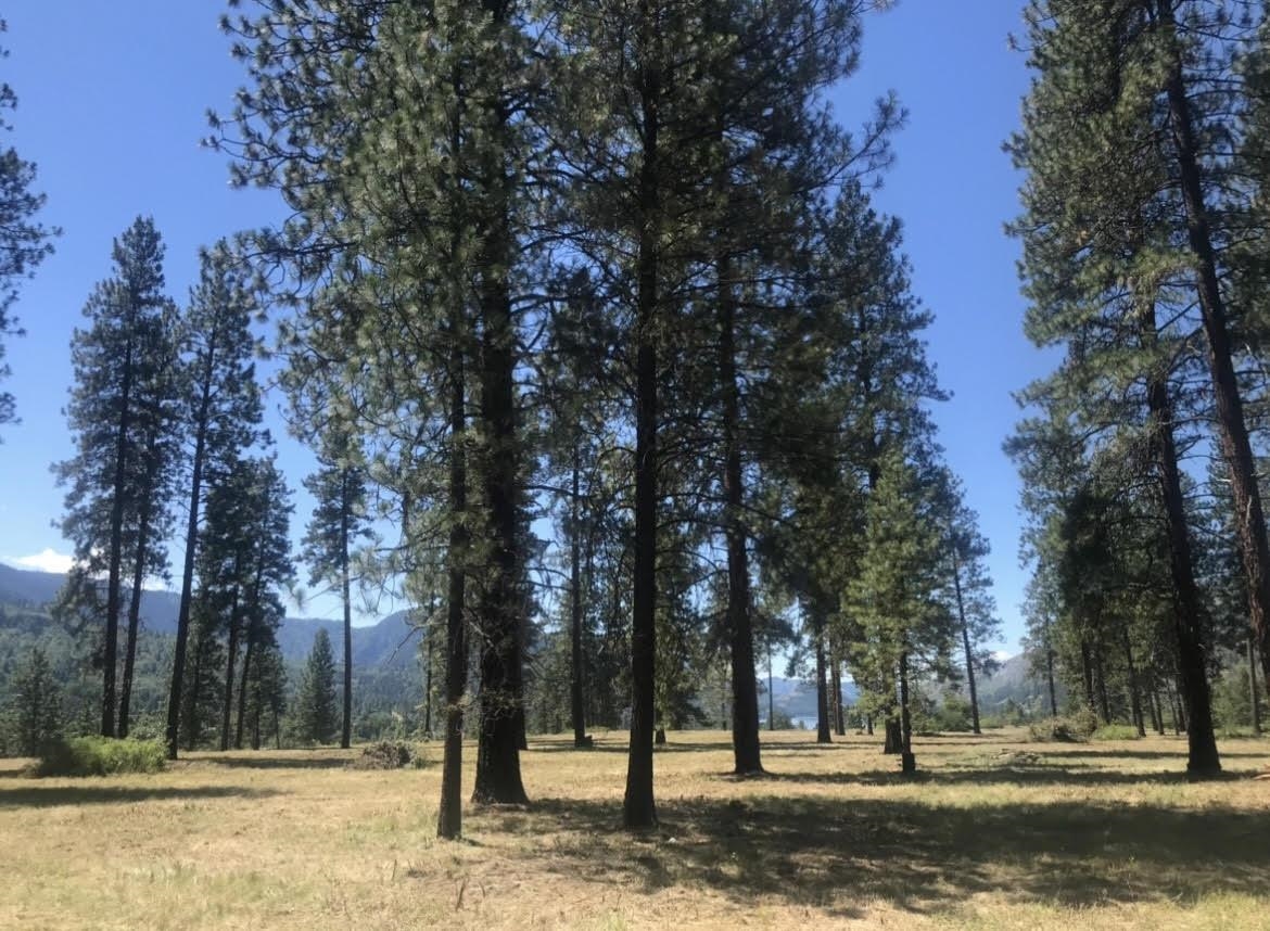 TBD S OF HWY W 200 Hwy - Photo 15