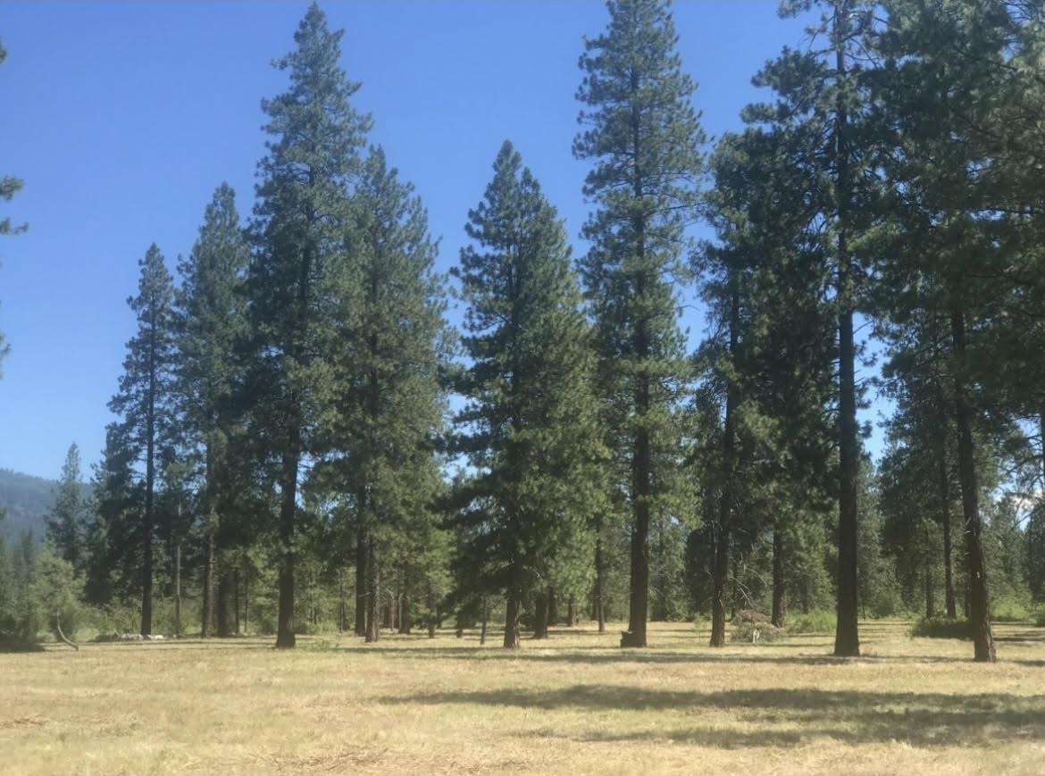 TBD S OF HWY W 200 Hwy - Photo 16