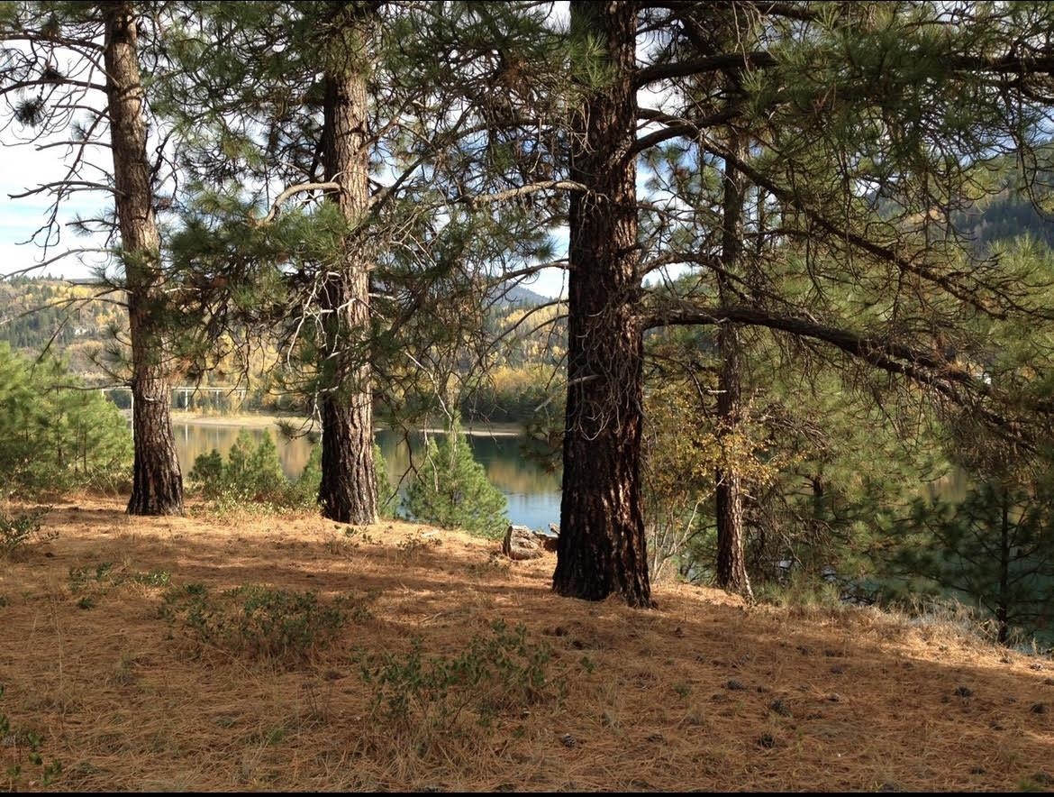 TBD S OF HWY W 200 Hwy - Photo 17
