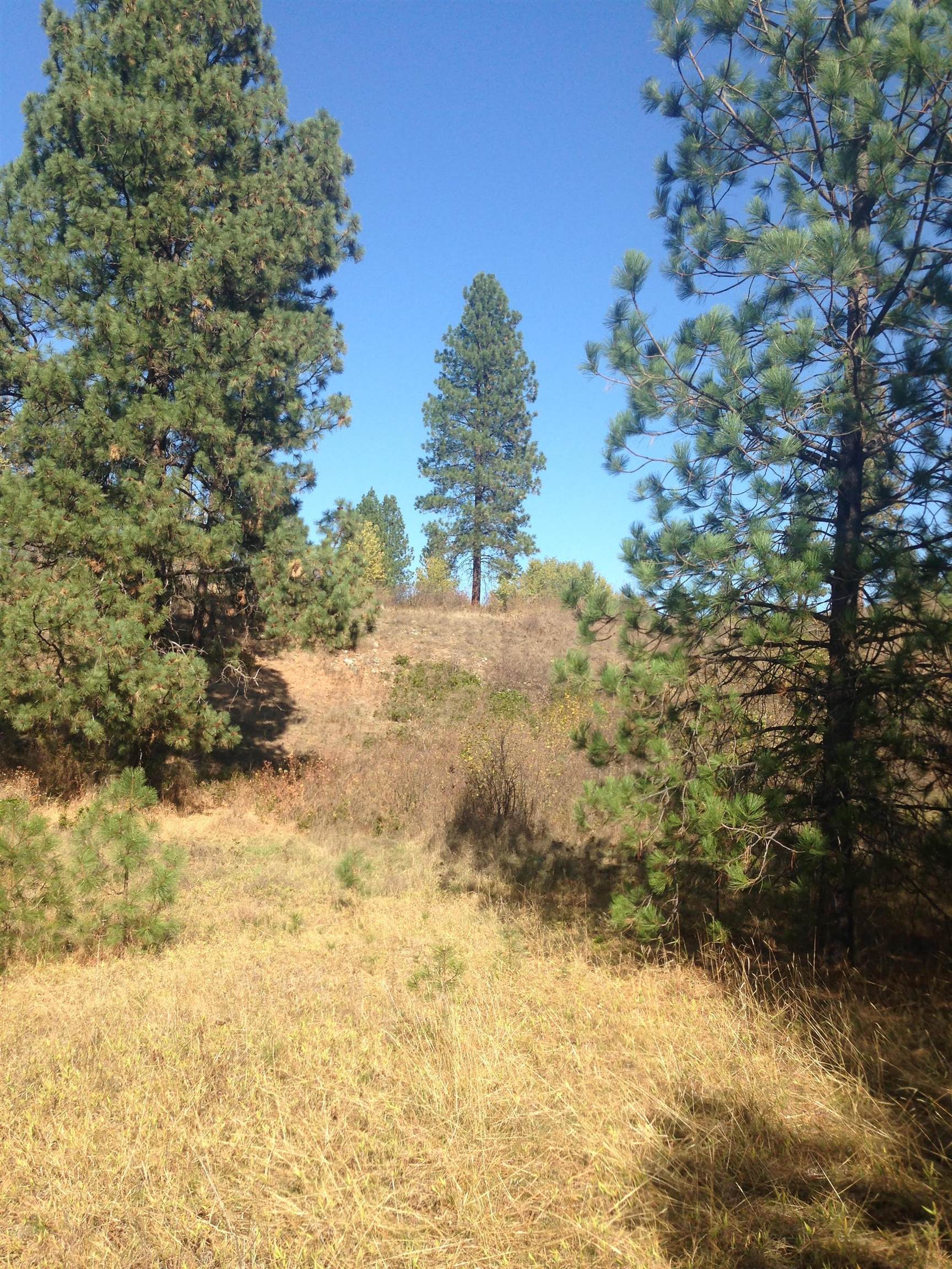 TBD S OF HWY W 200 Hwy - Photo 24