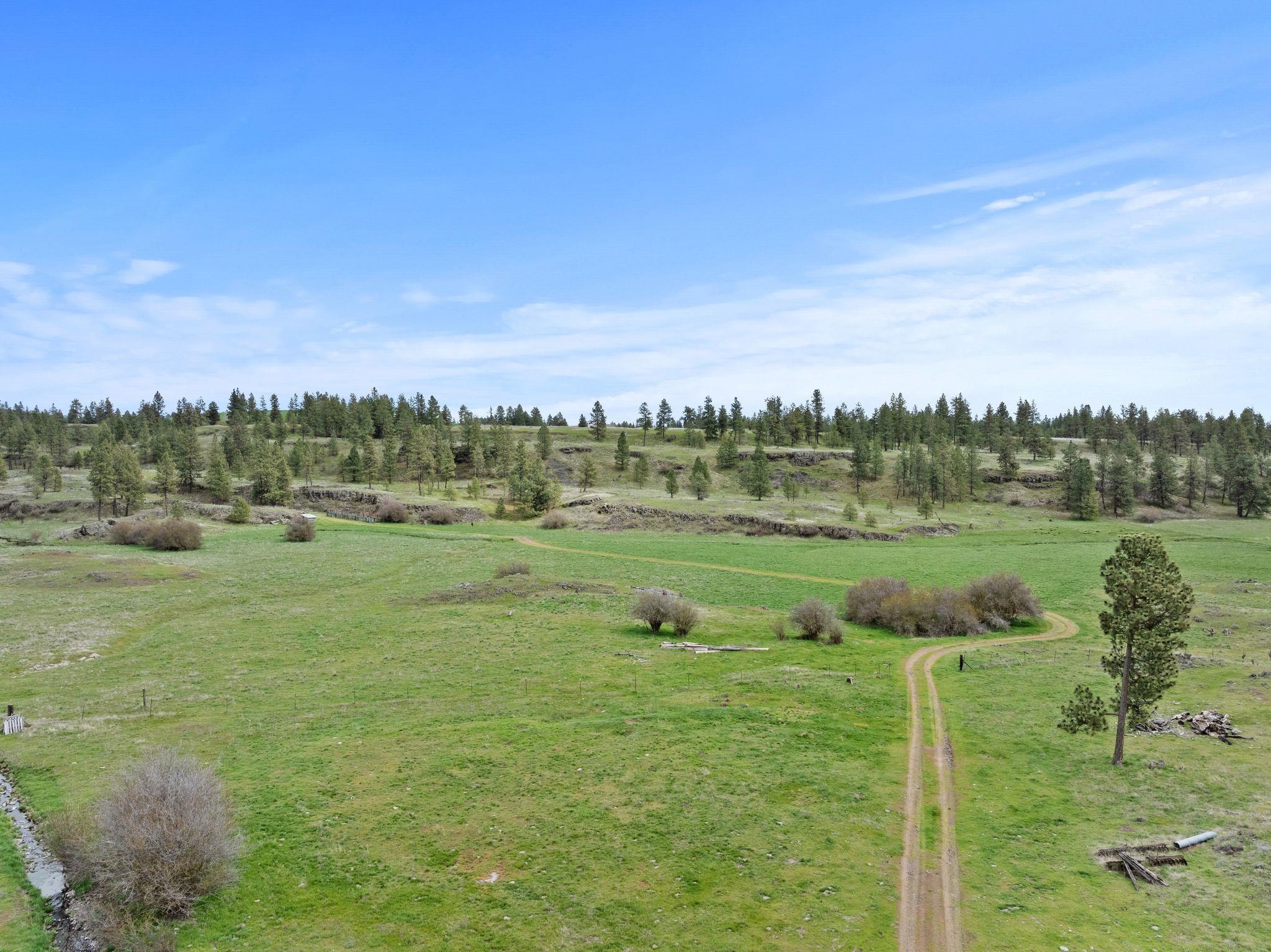 XXXXX Vacant Land - Photo 6