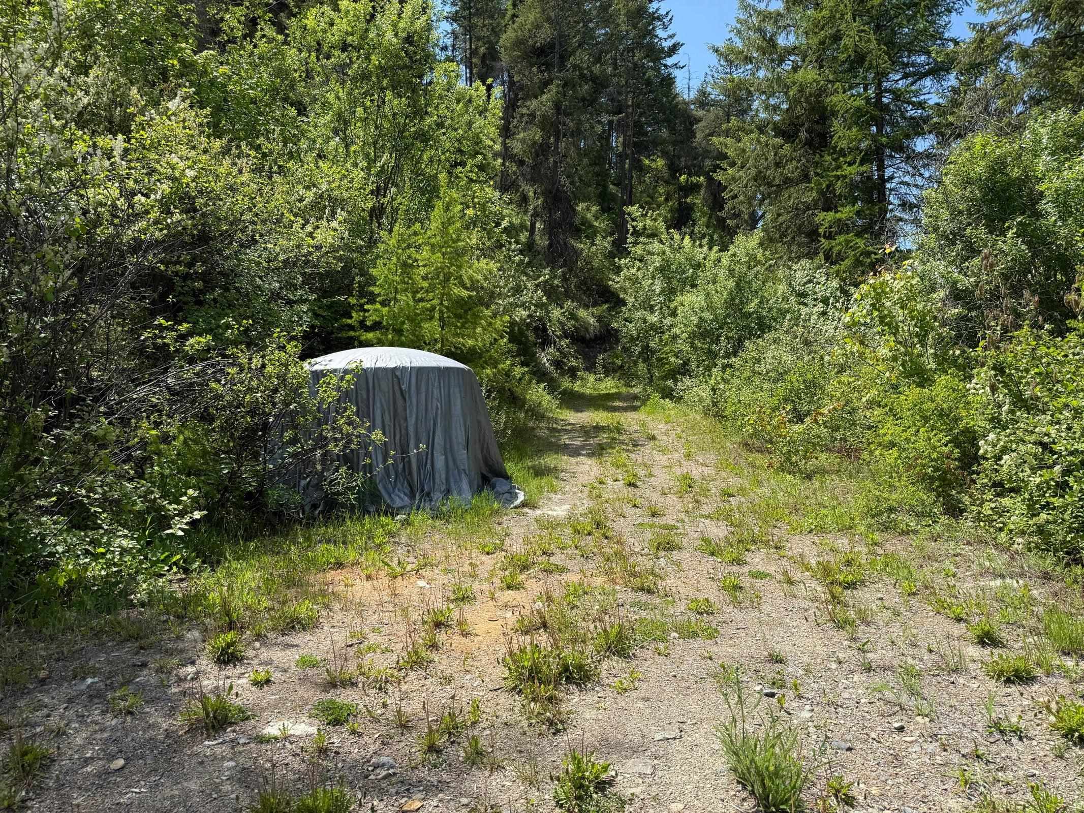 3774-C Daisy Mine Rd - Photo 15