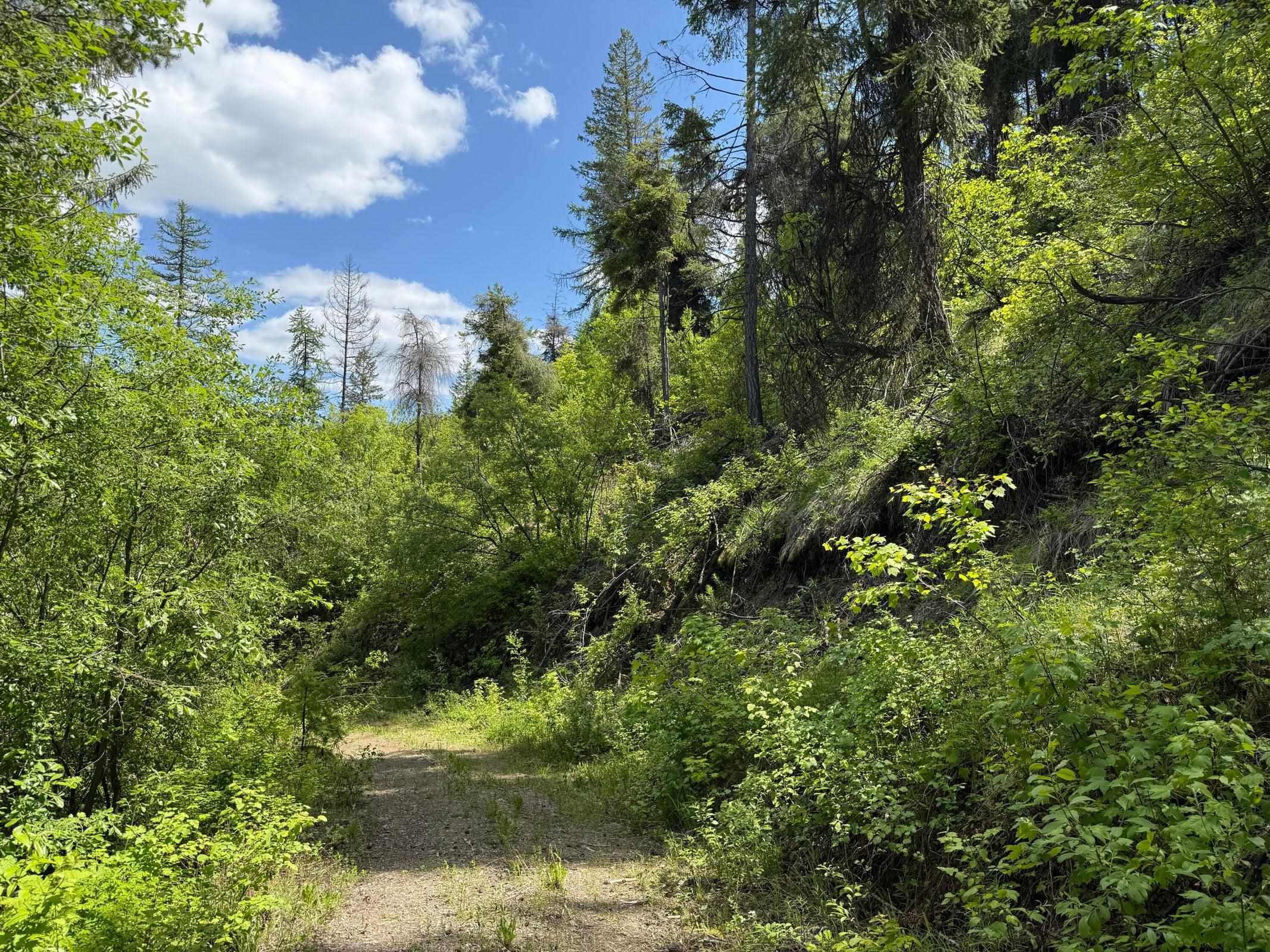 3774-C Daisy Mine Rd - Photo 16