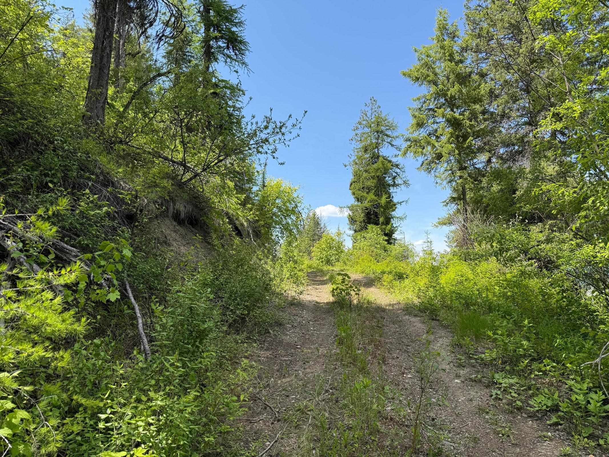 3774-C Daisy Mine Rd - Photo 17