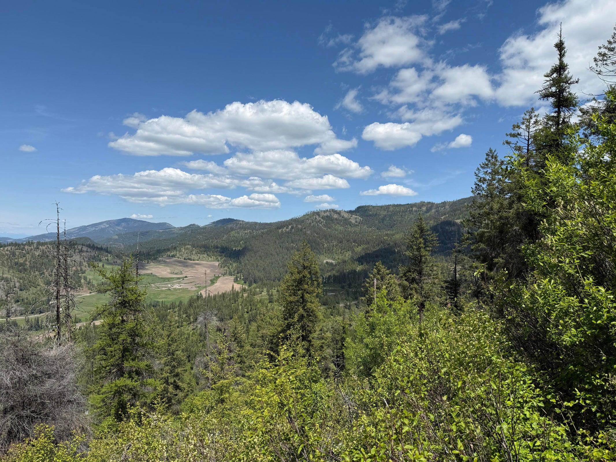 3774-C Daisy Mine Rd - Photo 19