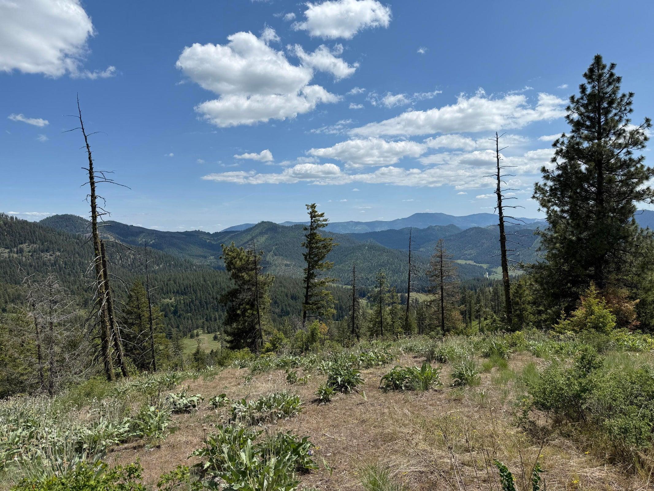 3774-C Daisy Mine Rd - Photo 24