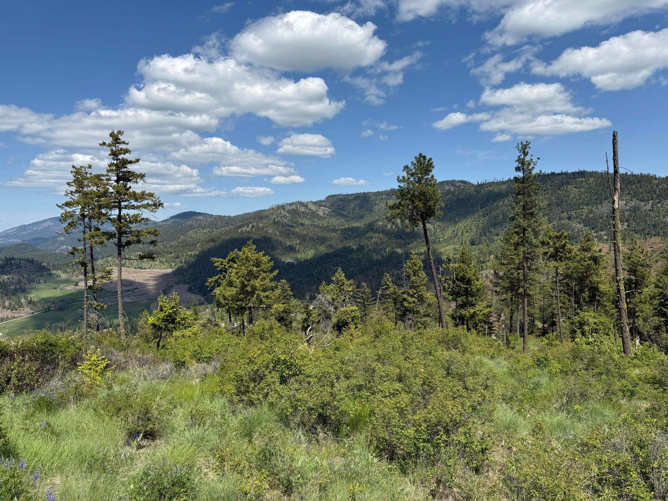 3774-C Daisy Mine Rd - Photo 25