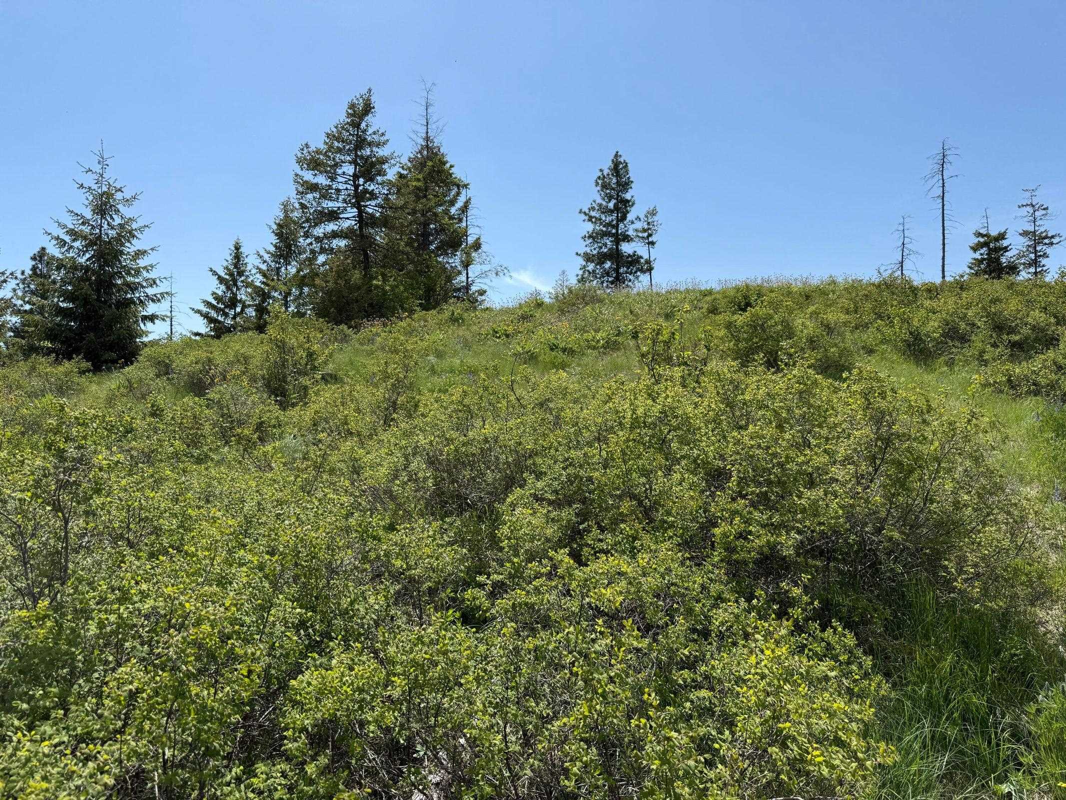3774-C Daisy Mine Rd - Photo 26