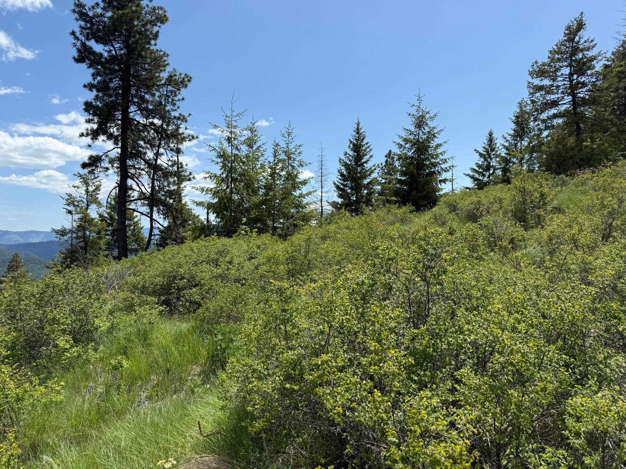 3774-C Daisy Mine Rd - Photo 27