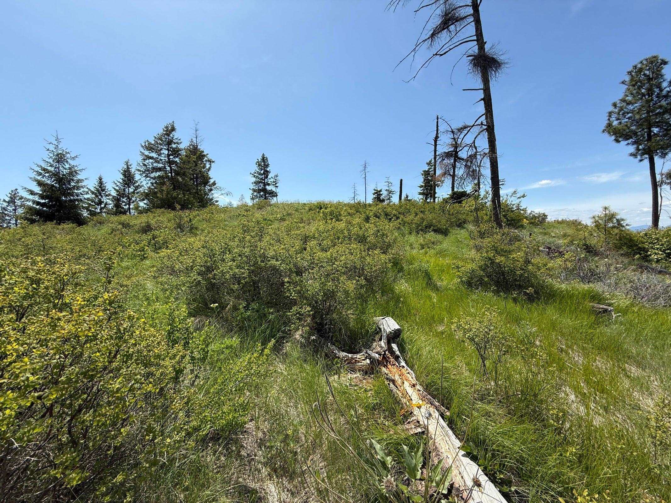 3774-C Daisy Mine Rd - Photo 28