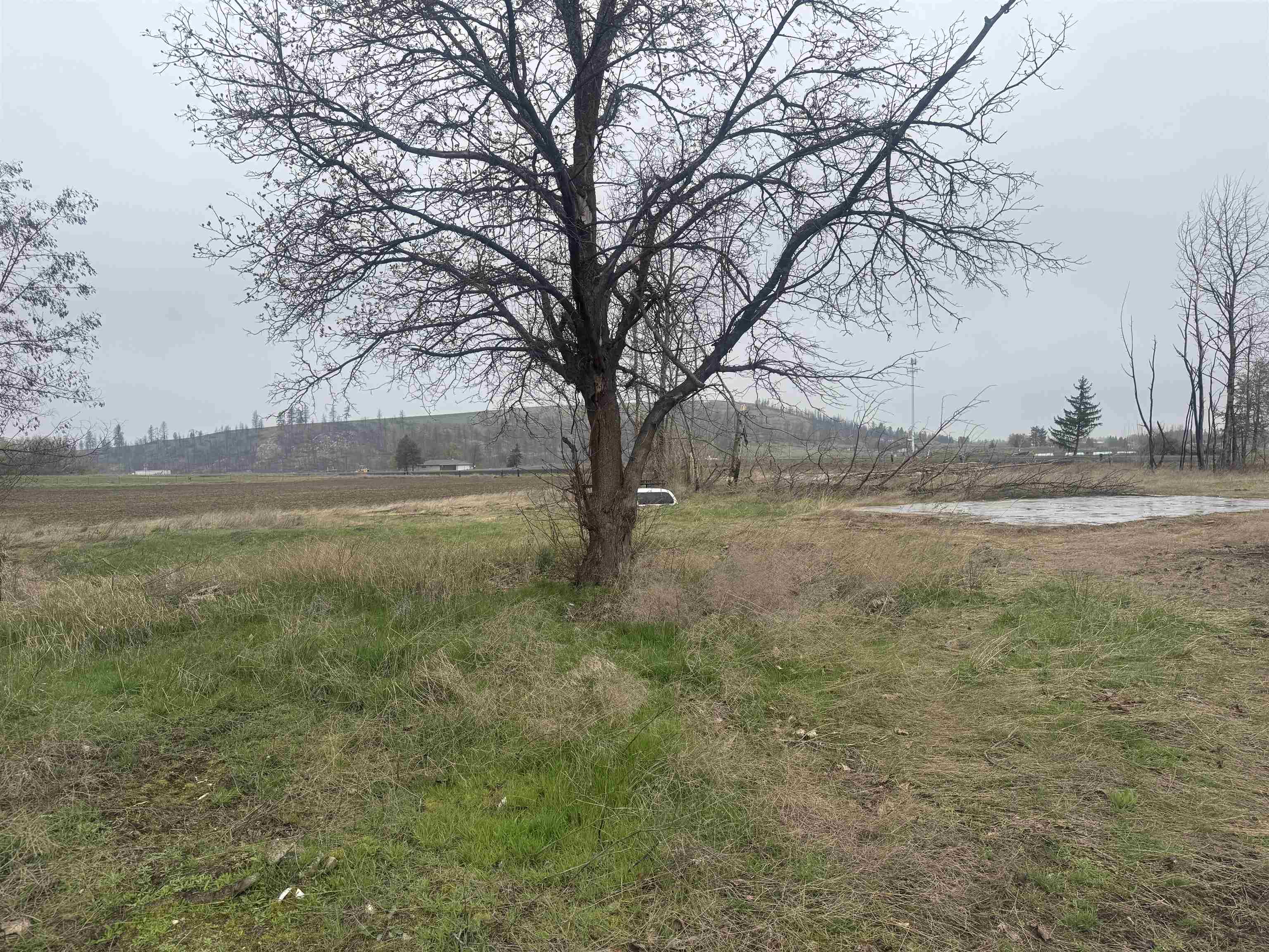 10524 S Murphy Rd - Photo 12