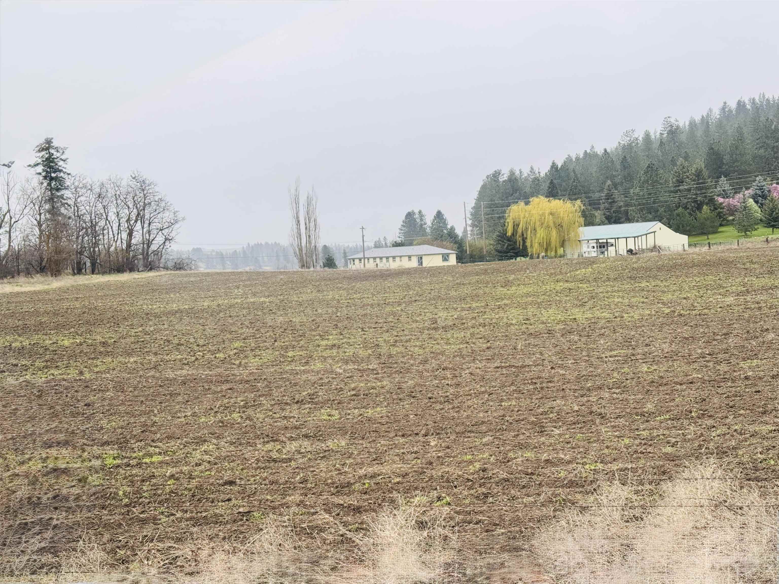 10524 S Murphy Rd - Photo 3