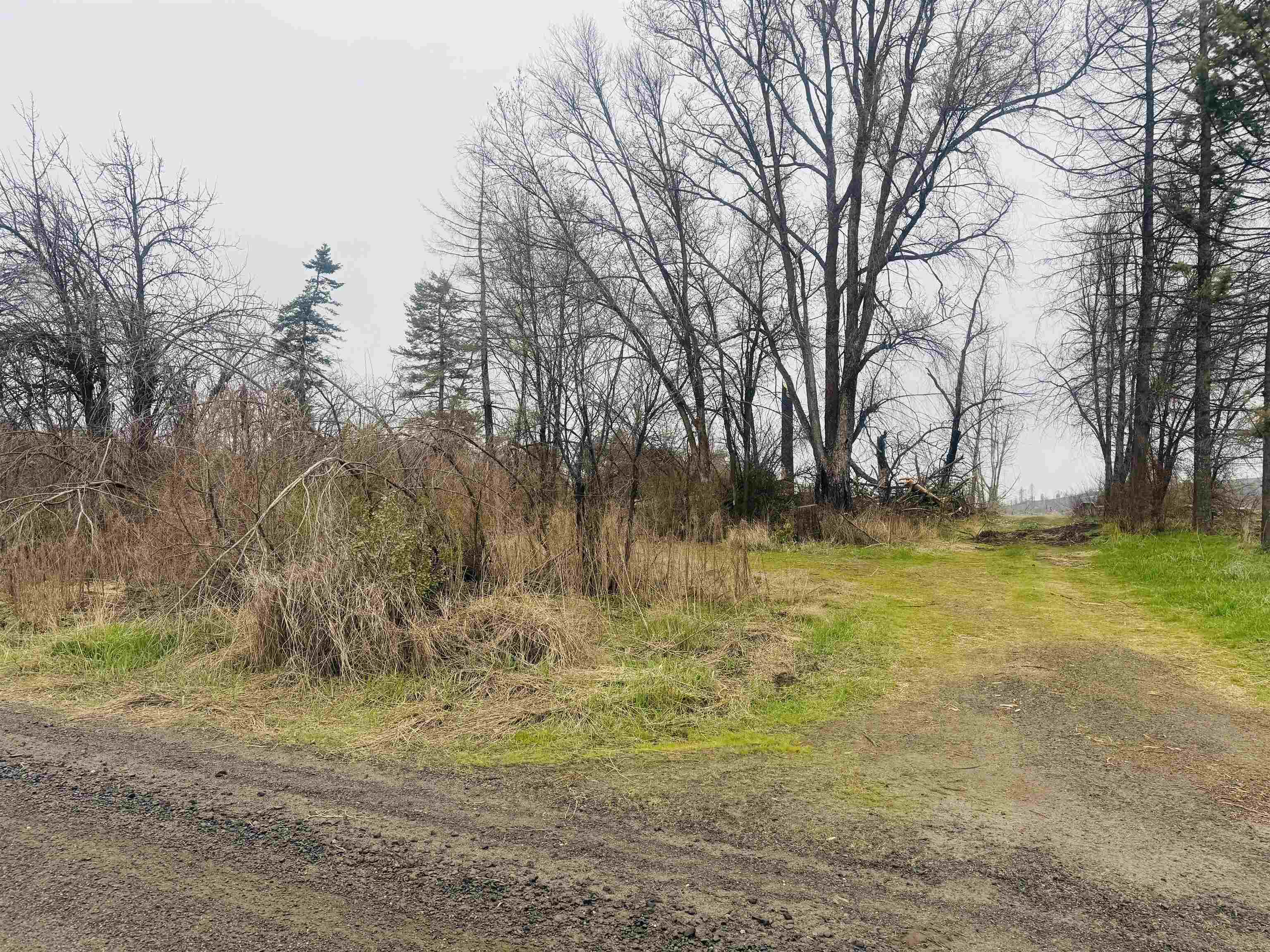 10524 S Murphy Rd - Photo 7