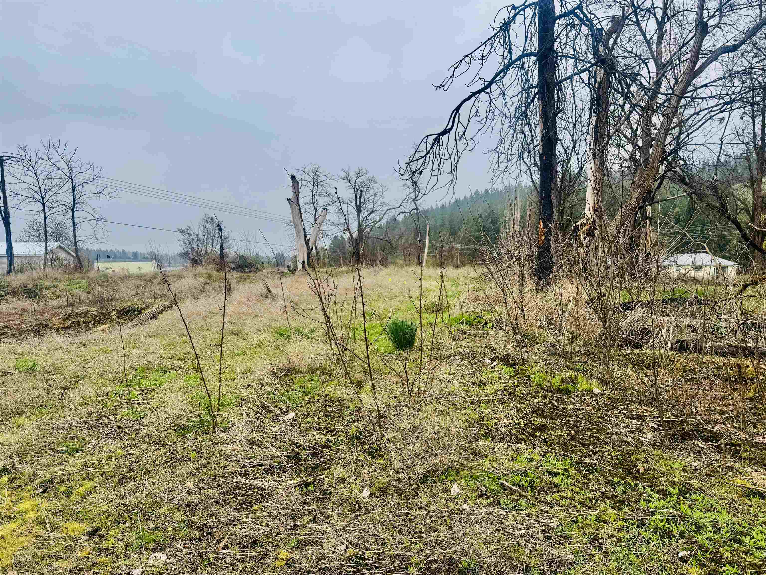 10524 S Murphy Rd - Photo 8