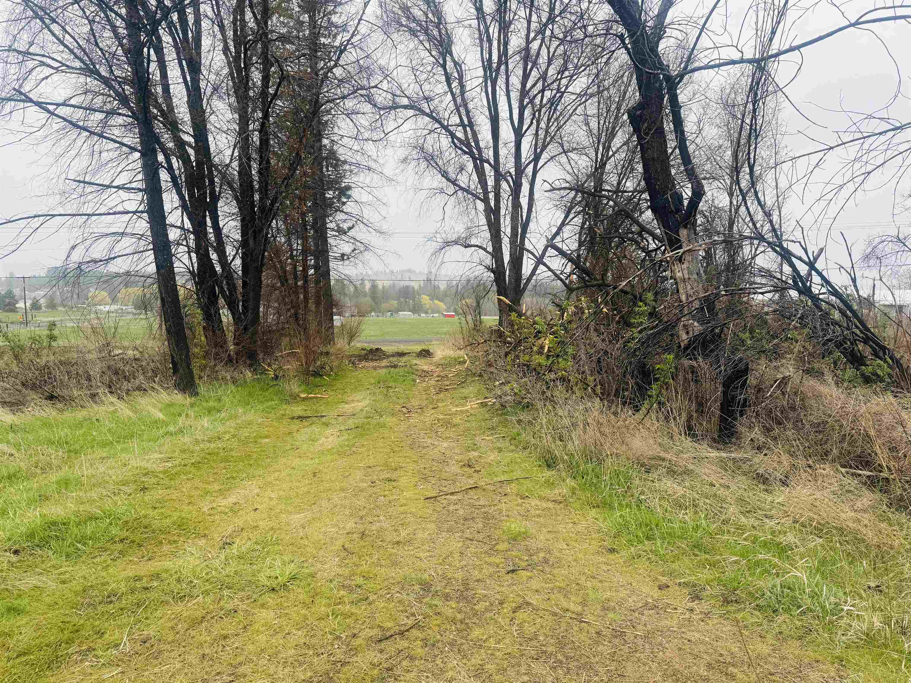 10524 S Murphy Rd - Photo 10