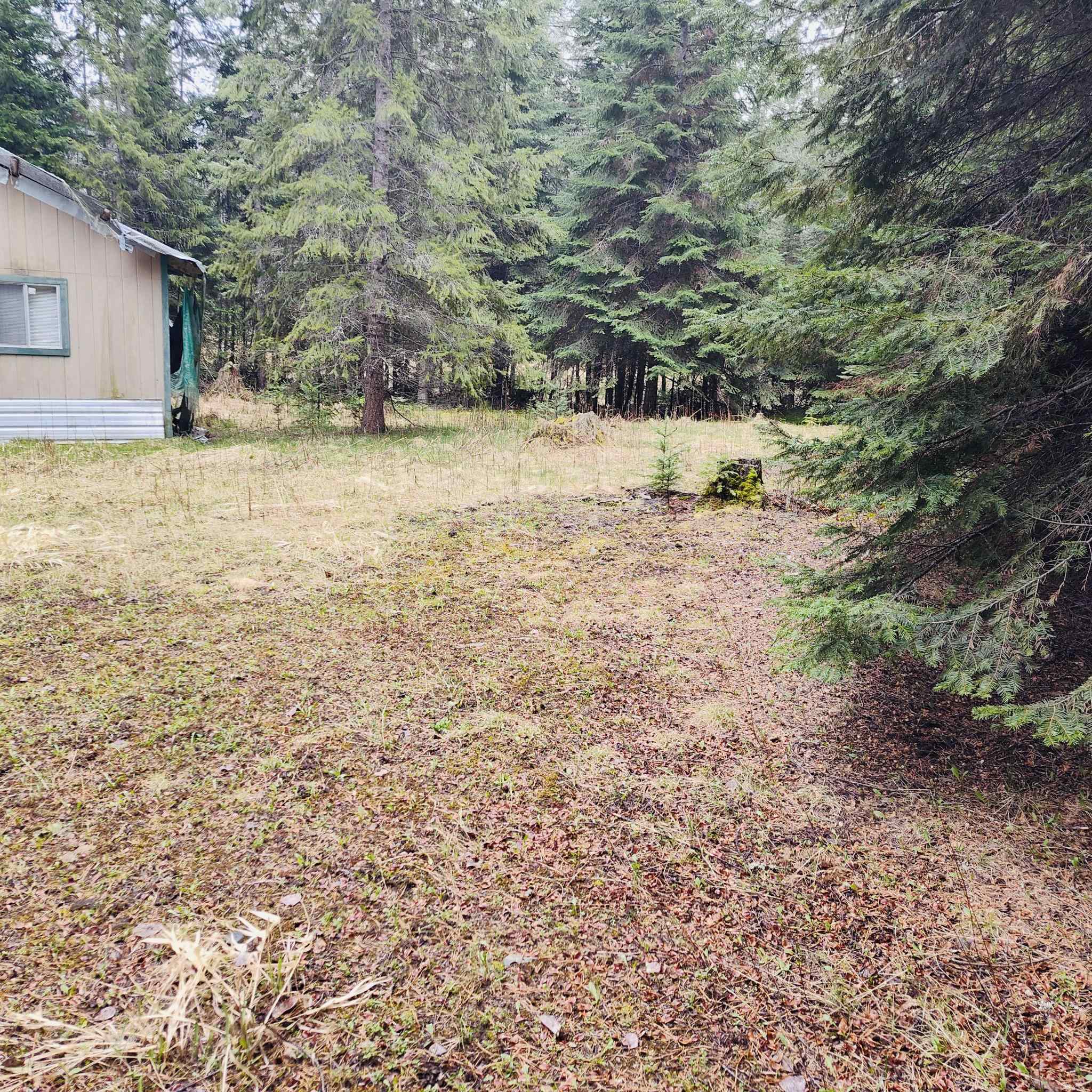 1101 Larch Ln - Photo 2