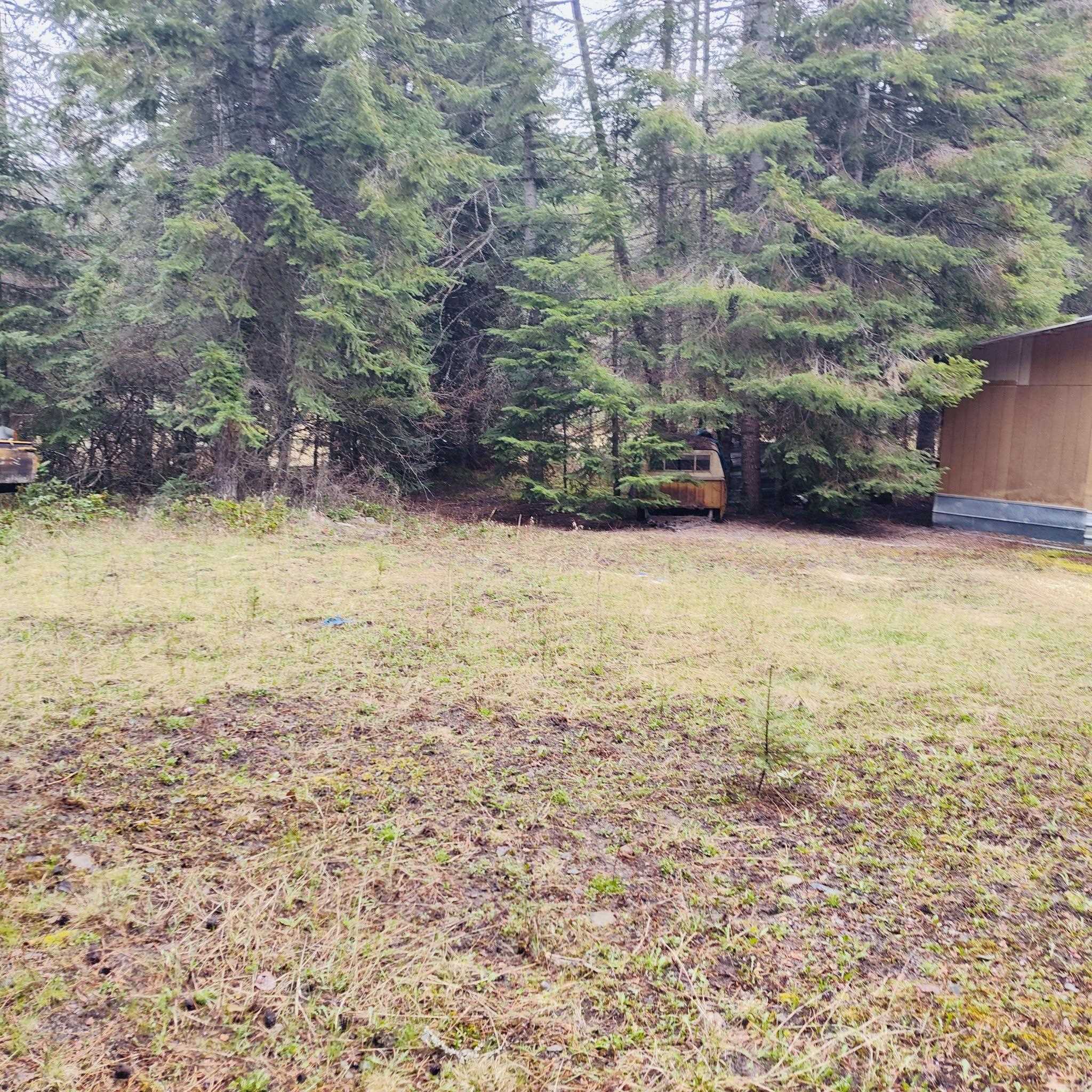 1101 Larch Ln - Photo 6