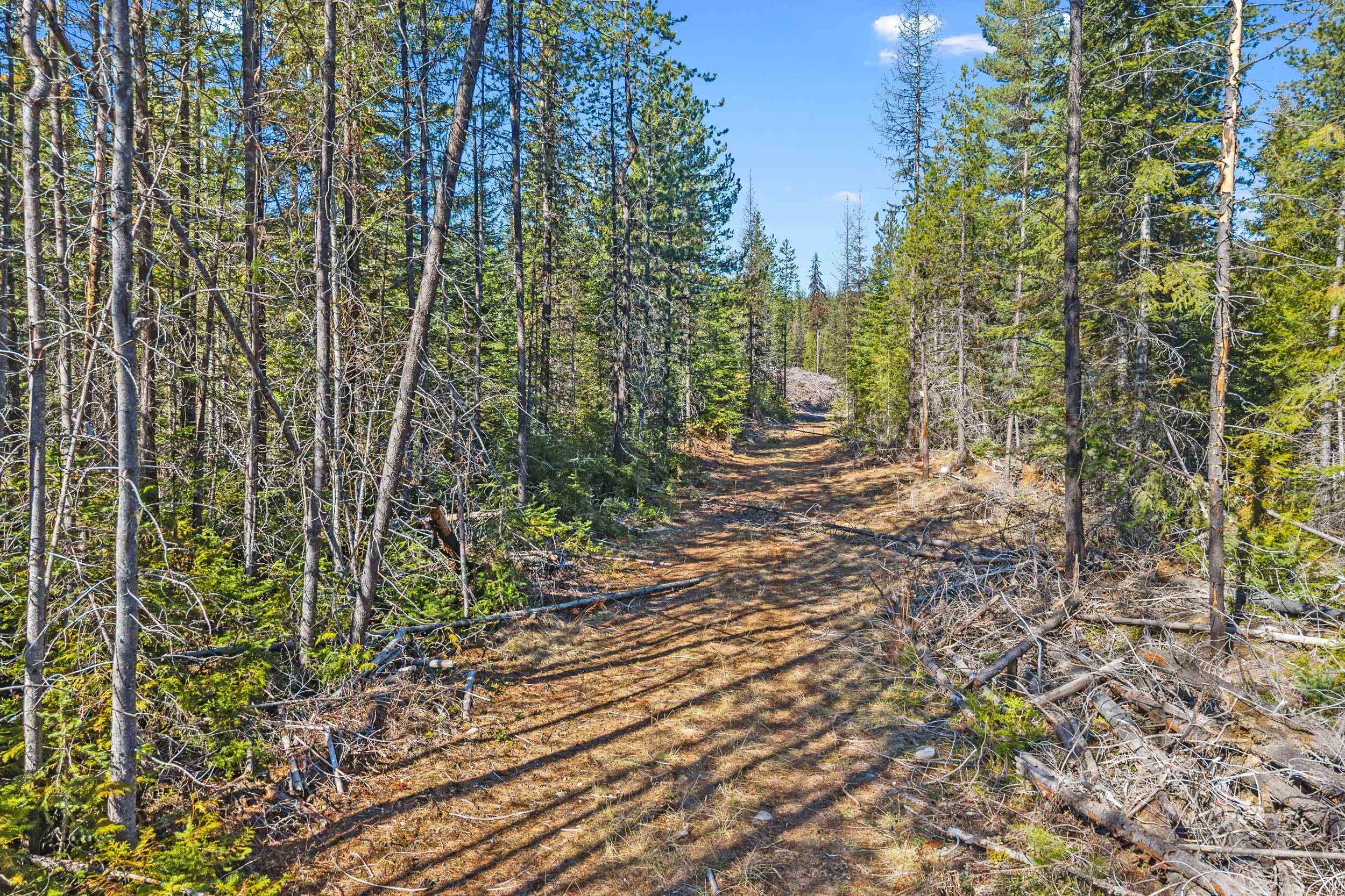 2505-D E 20 Hwy - Photo 13