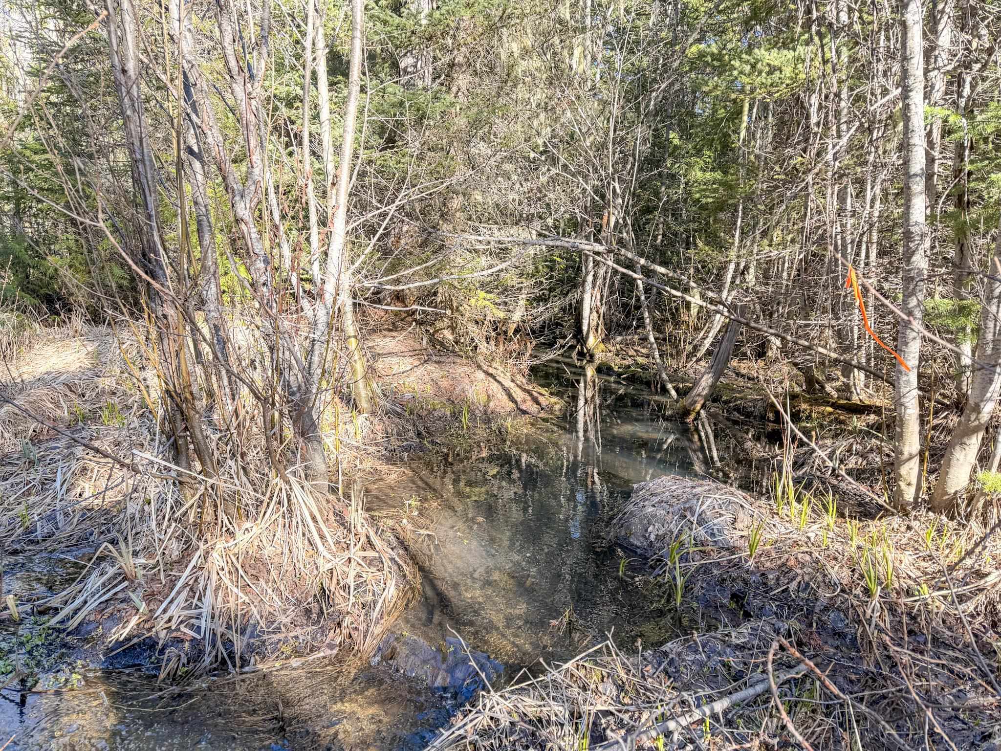 2505-D E 20 Hwy - Photo 25