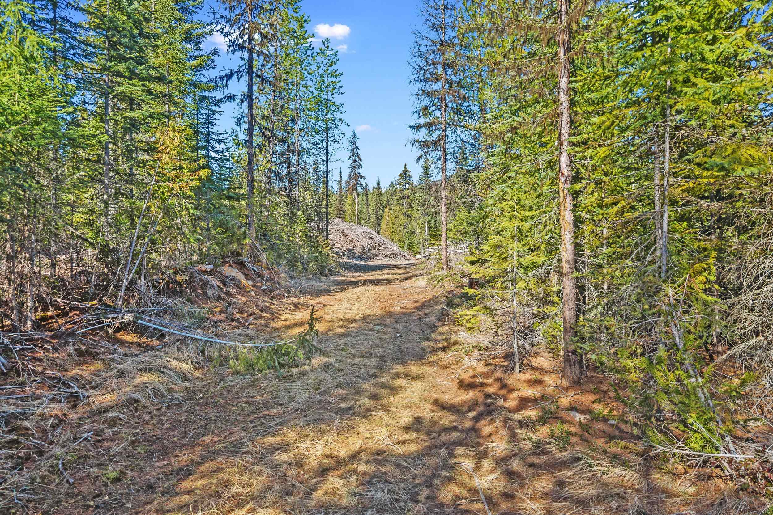 2505-D E 20 Hwy - Photo 4