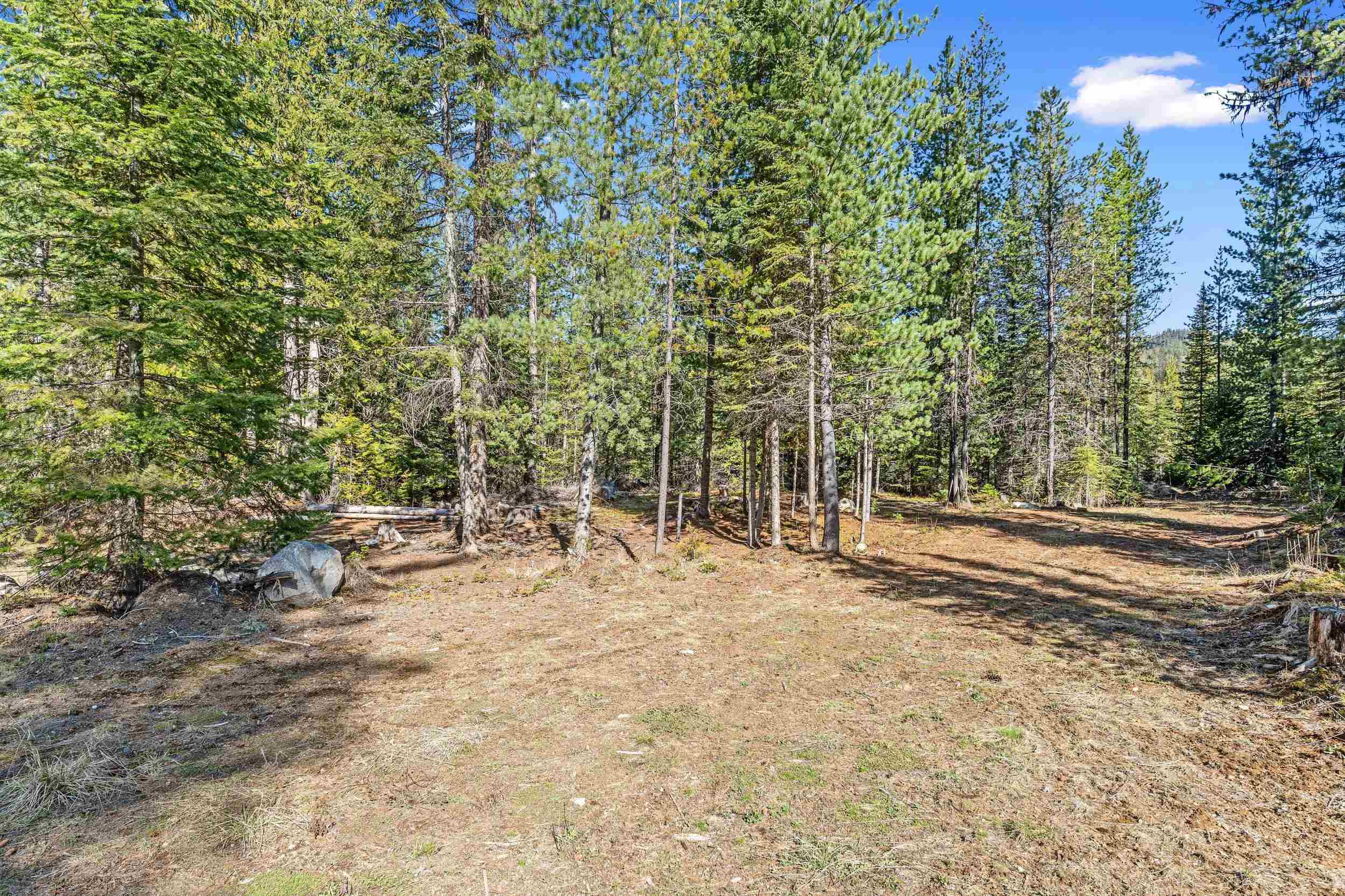 2505-D E 20 Hwy - Photo 5