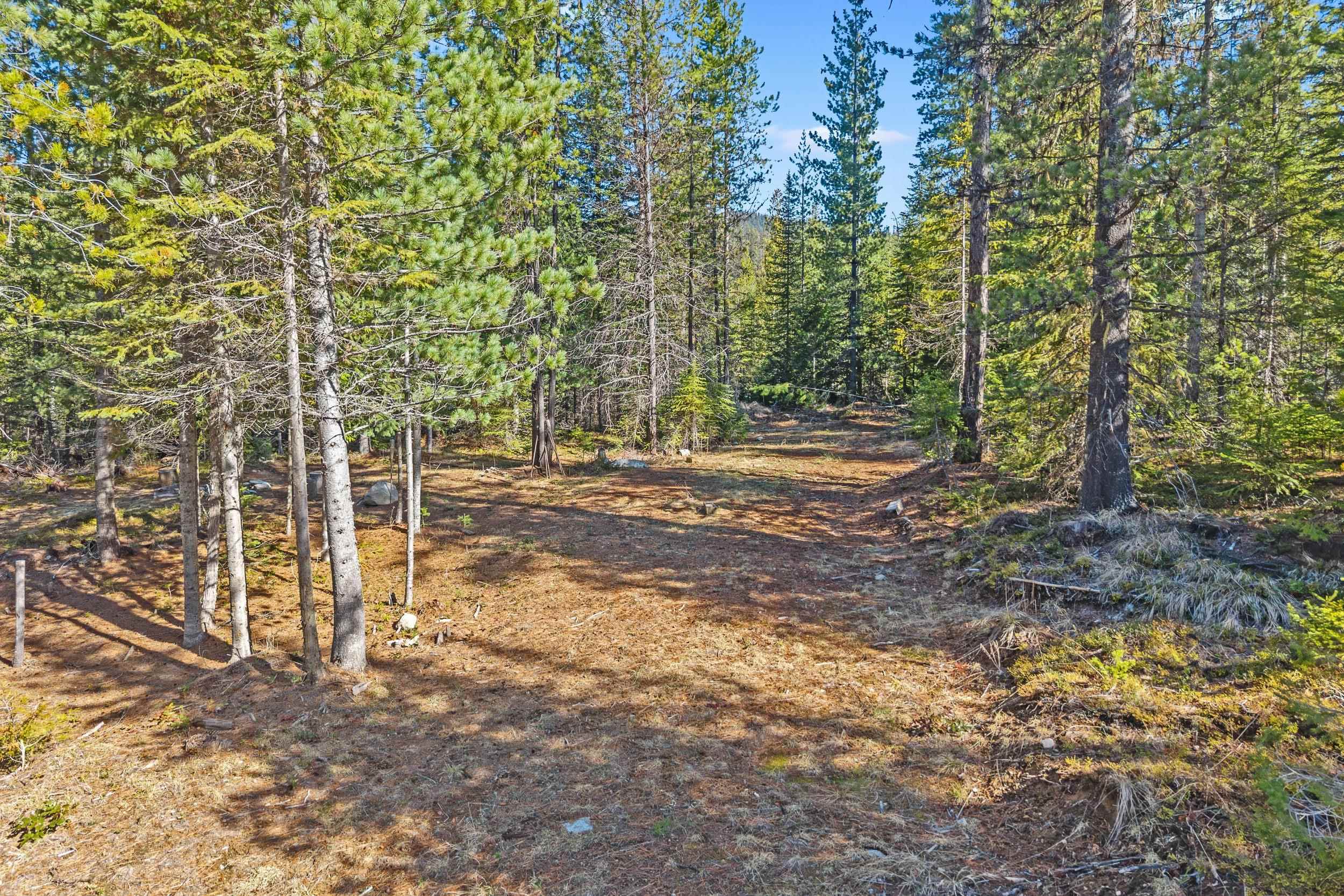 2505-D E 20 Hwy - Photo 6