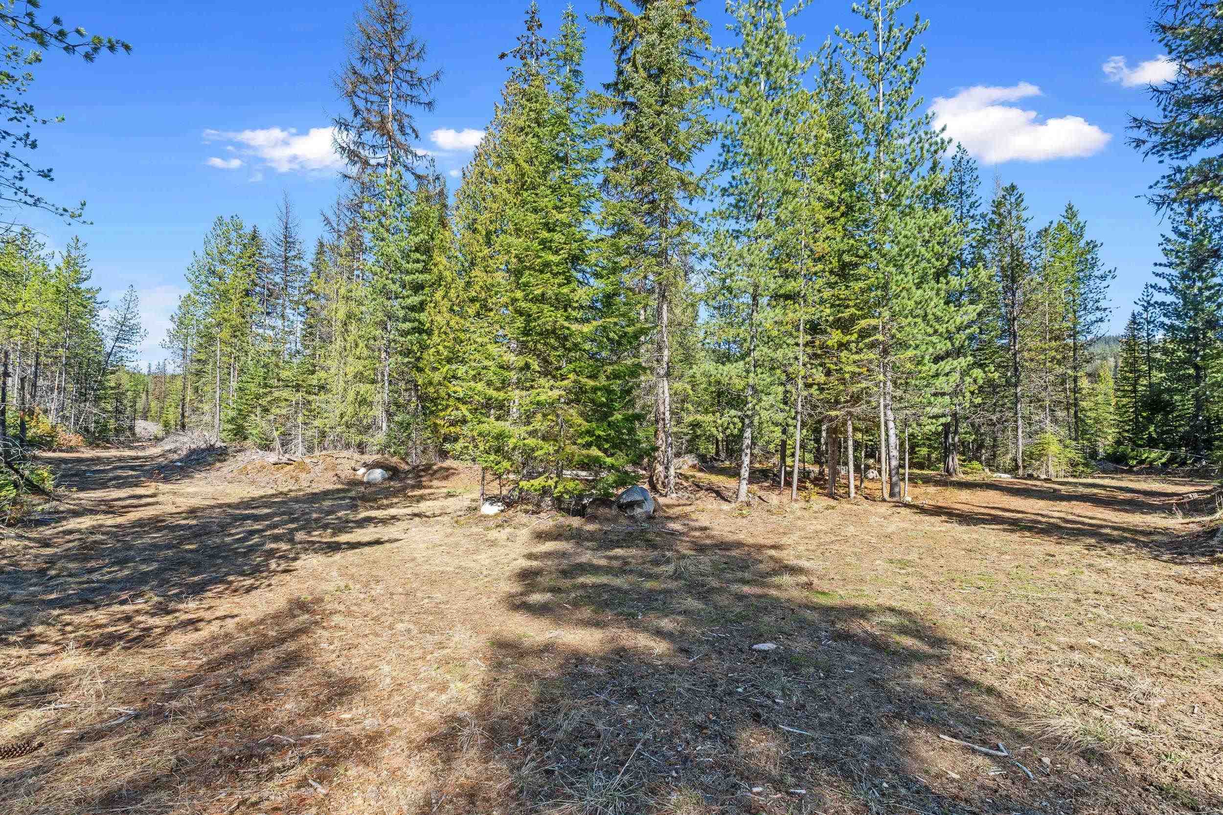 2505-D E 20 Hwy - Photo 7
