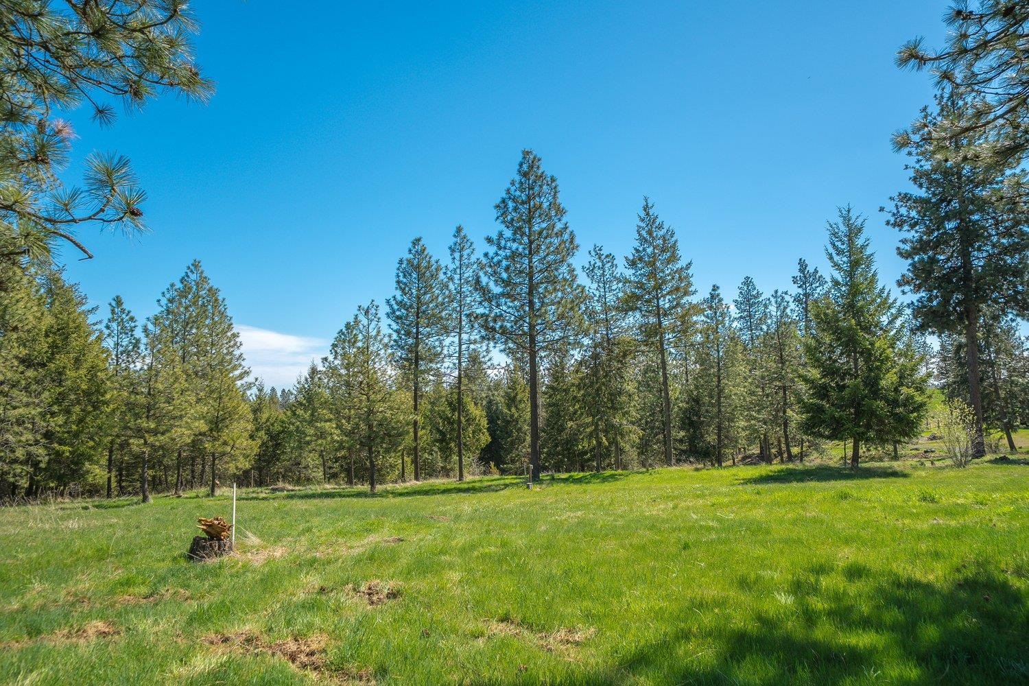 35405 Nye Rd N Rd - Photo 32