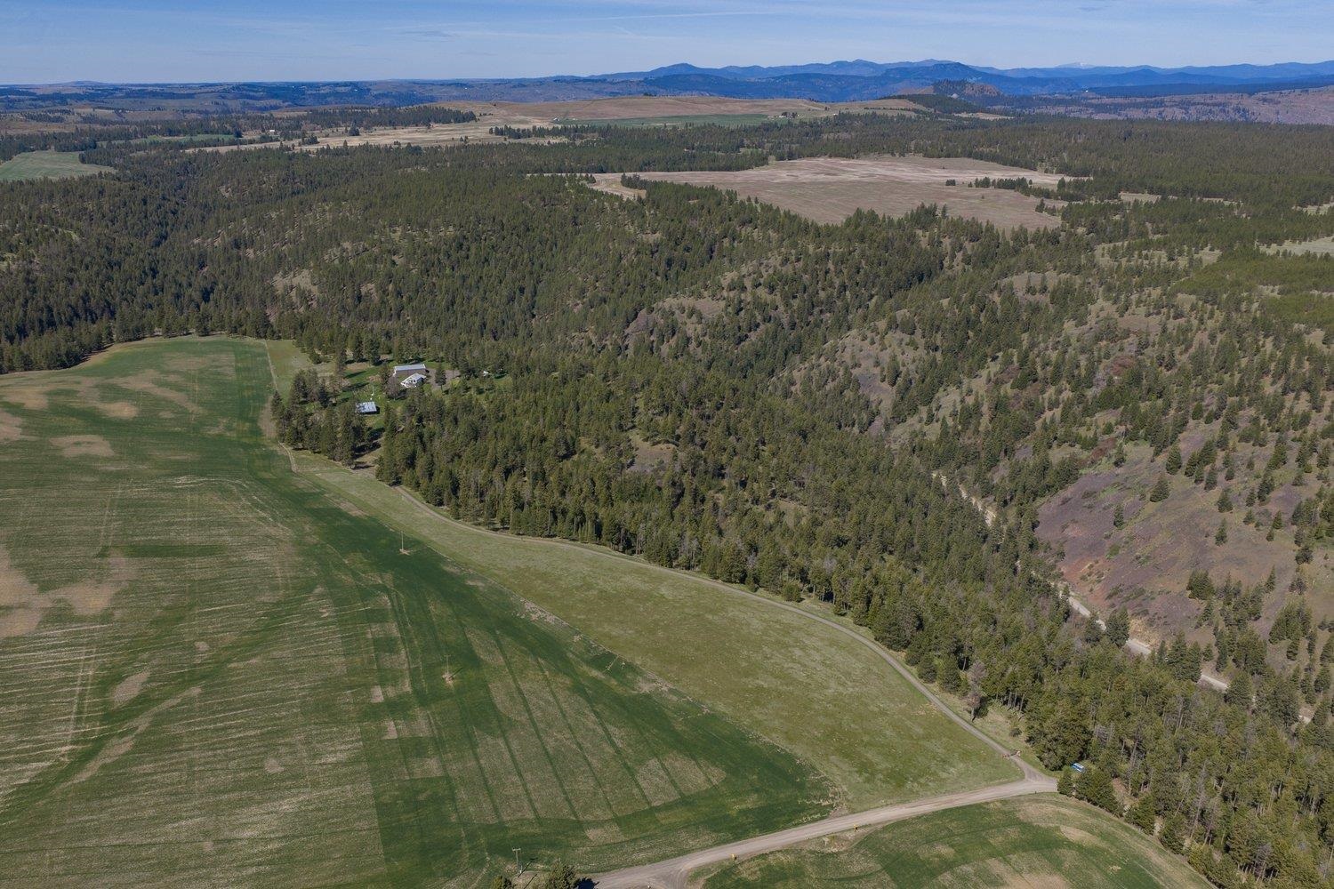 35405 Nye Rd N Rd - Photo 40