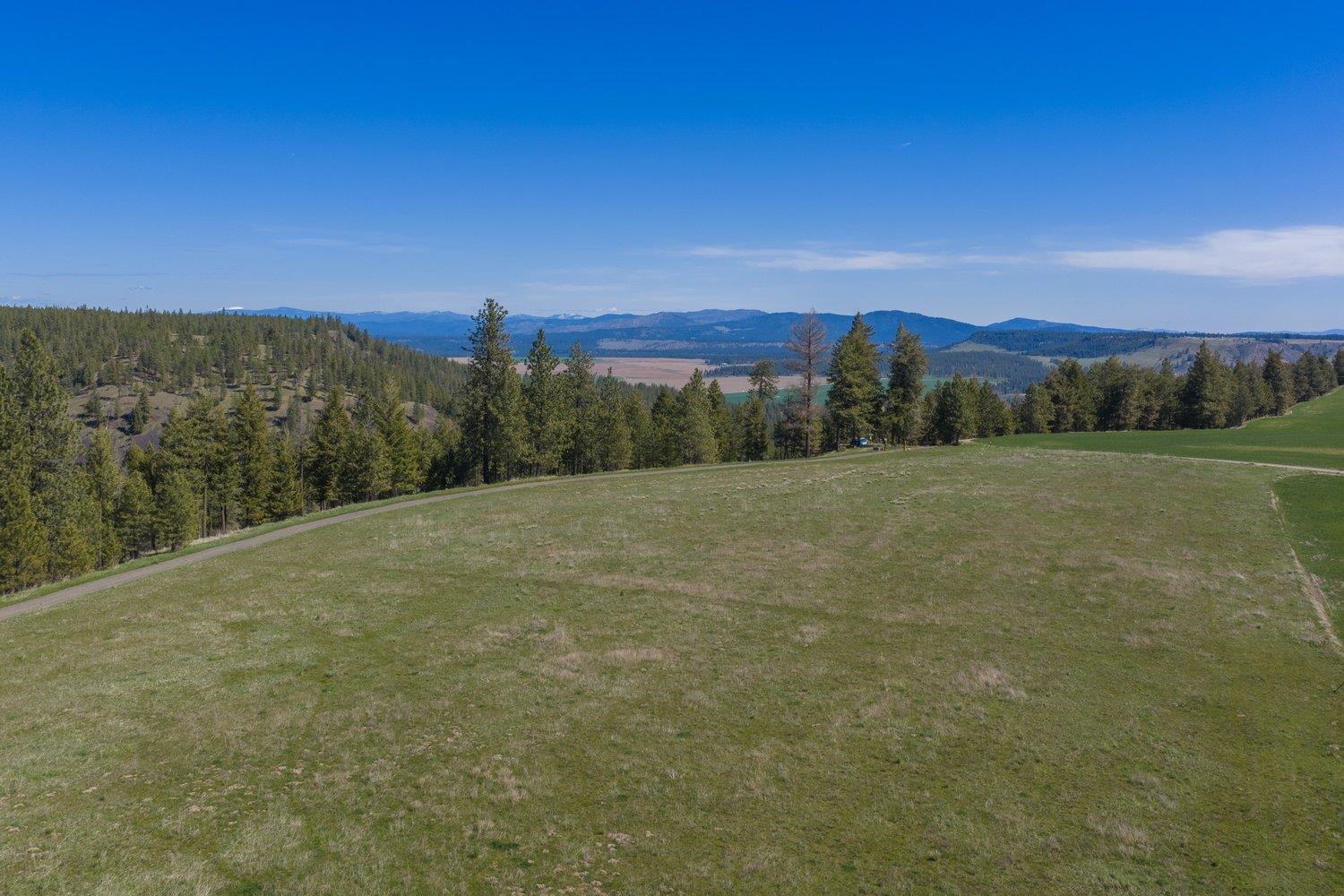 35405 Nye Rd N Rd - Photo 42