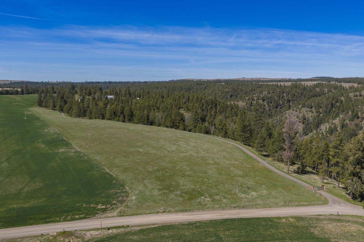35405 Nye Rd N Rd - Photo 43